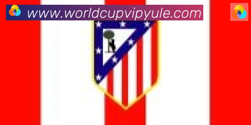 FIFA世界杯买球官方网站合作伙伴